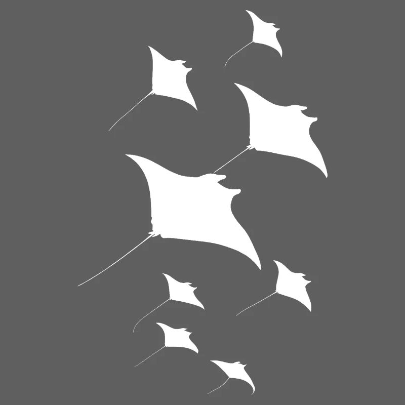 Manta Ray, Devil Ray, Stingray, Diver
