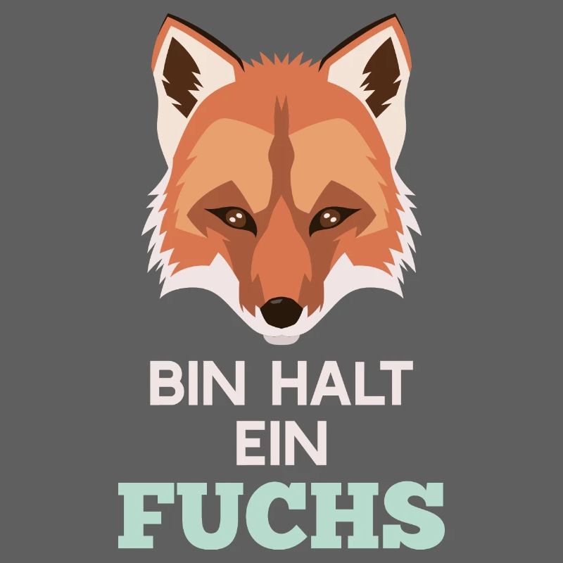 Bin halt ein Fuchs Rotfuchs Klug Clever