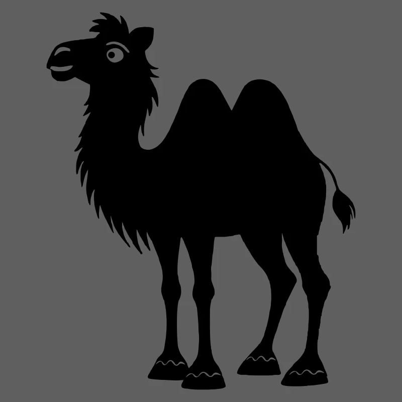 Schatten-Kamel