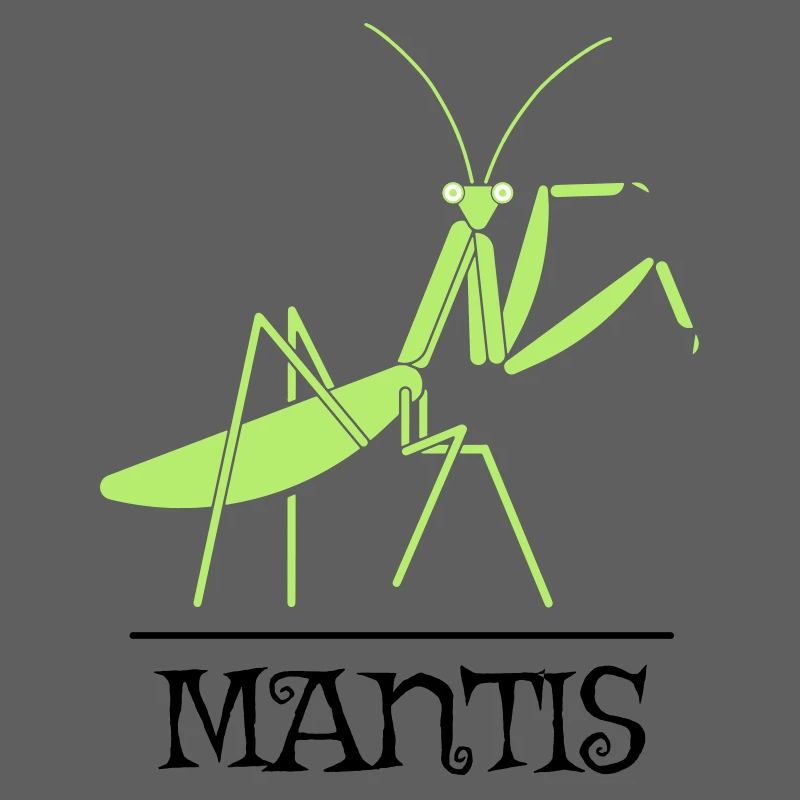 Gottesanbeterin – Mantis Insekt Natur
