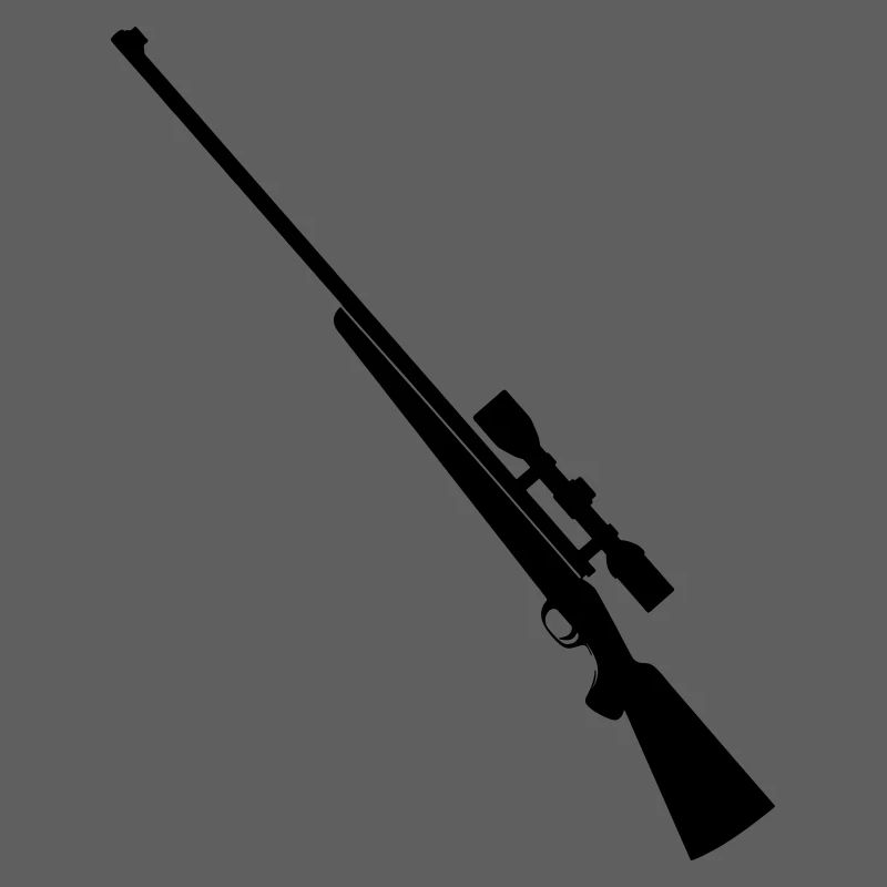 Fusil de précision fusil de chasse