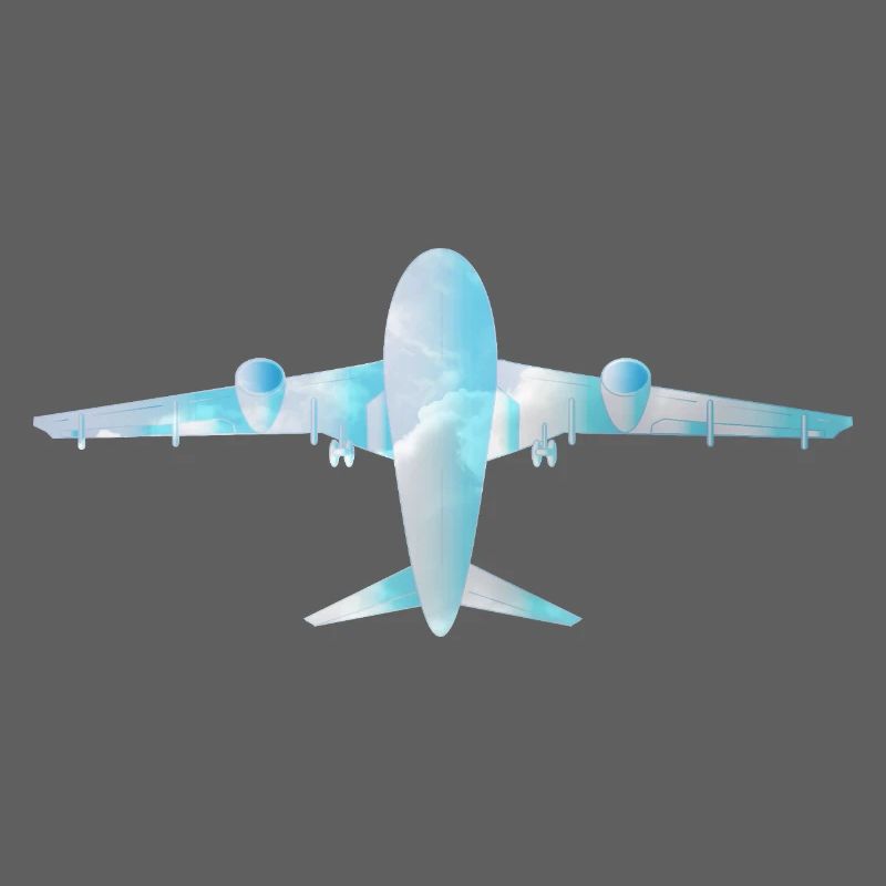 Passenger plane with cloud pattern