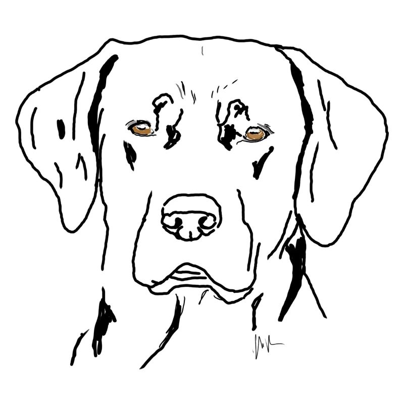 Labrador