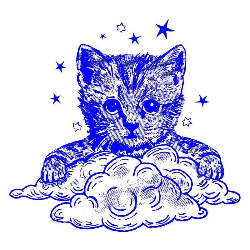 Blauer Katze auf Wolken