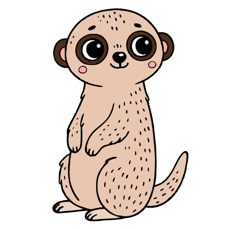 Erdmännchen