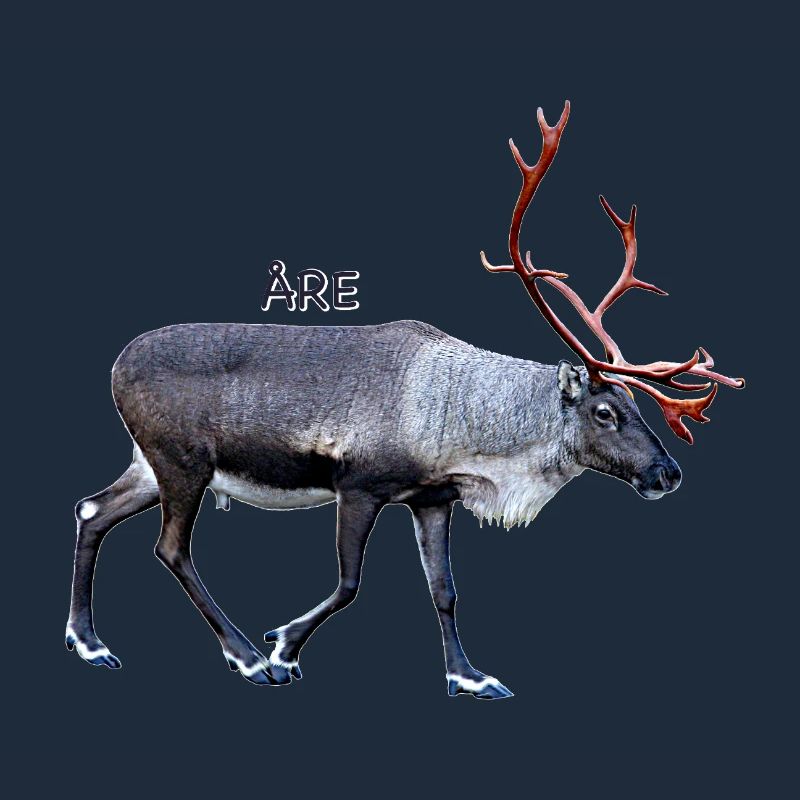 SIND