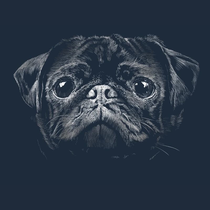 Pug