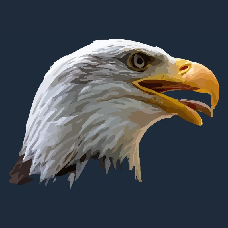 bald eagle