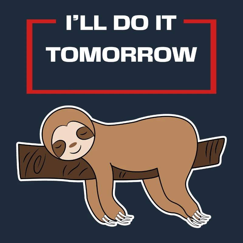 Sloth Statement Hammock Animal Lazy Sleep
