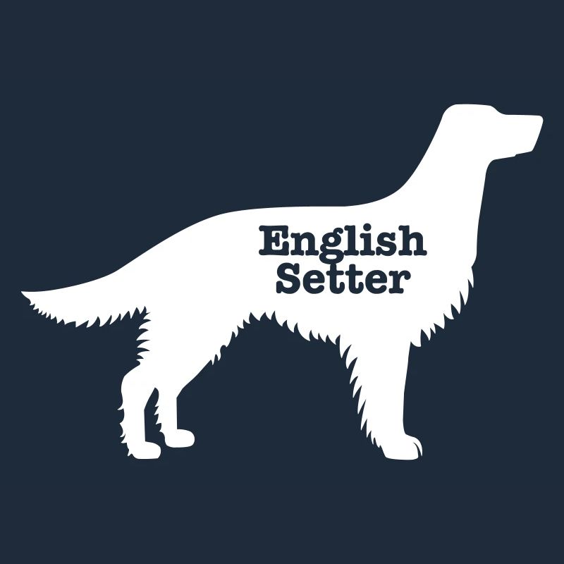 Englisch Setter