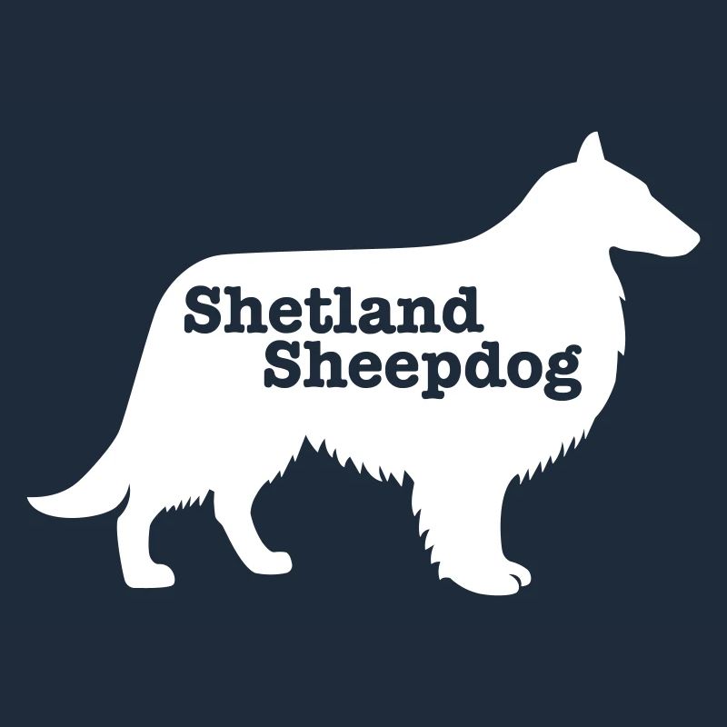 Shetland Schäferhund