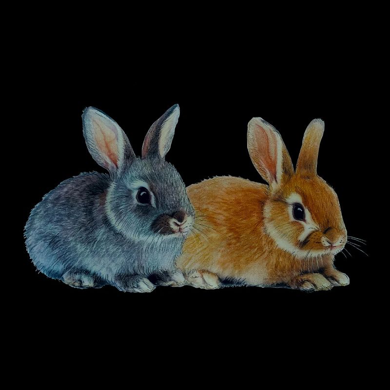 Bunnies - Easter