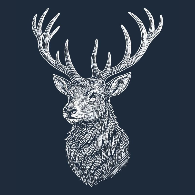 Hirsch