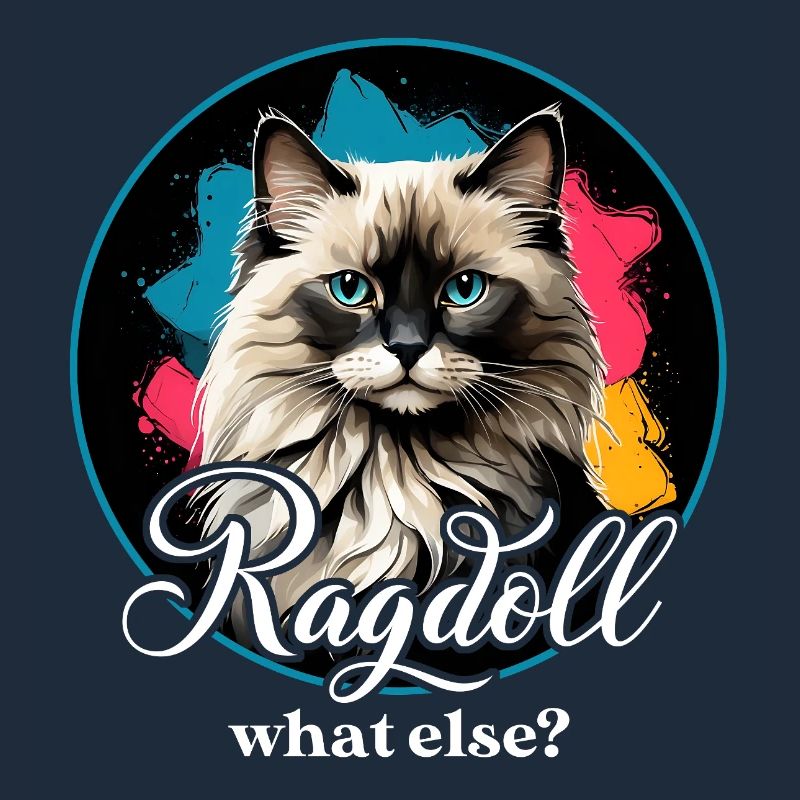 Ragdoll Katze