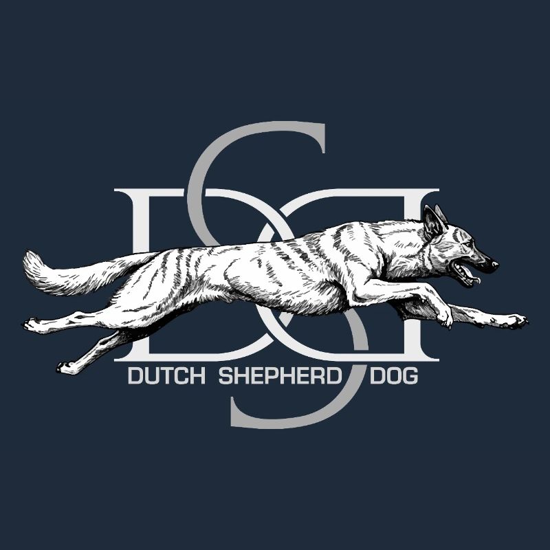 Dutchie - Holländischer Schäferhund