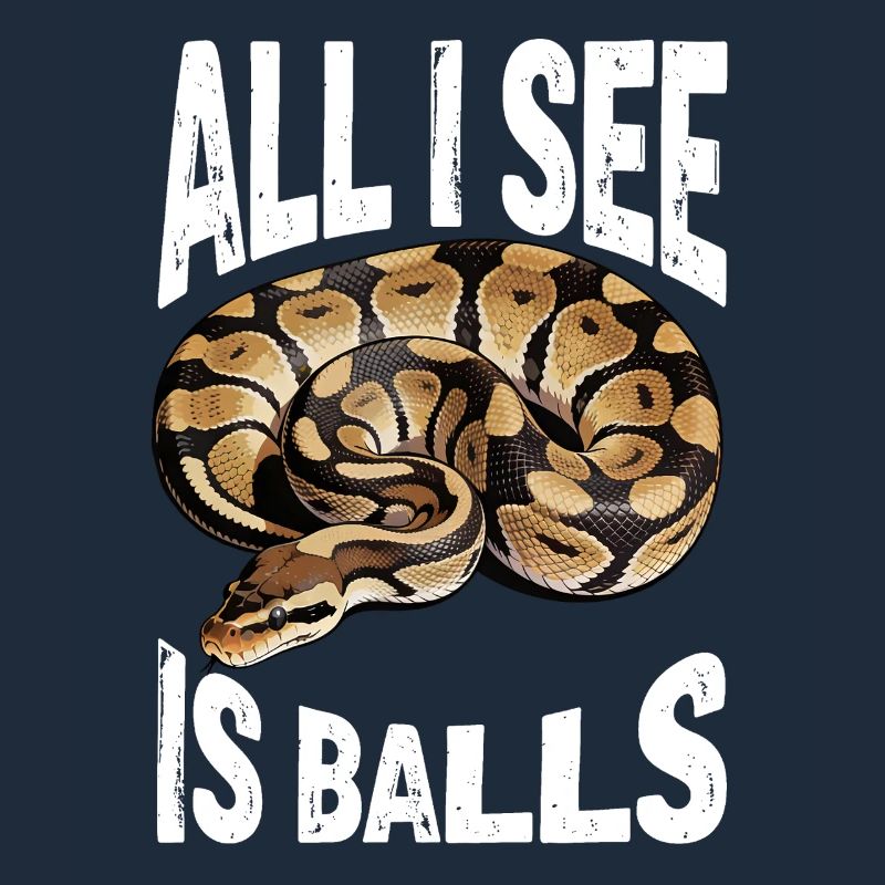 Königspython Schlangen Liebhaber Terrarium Python