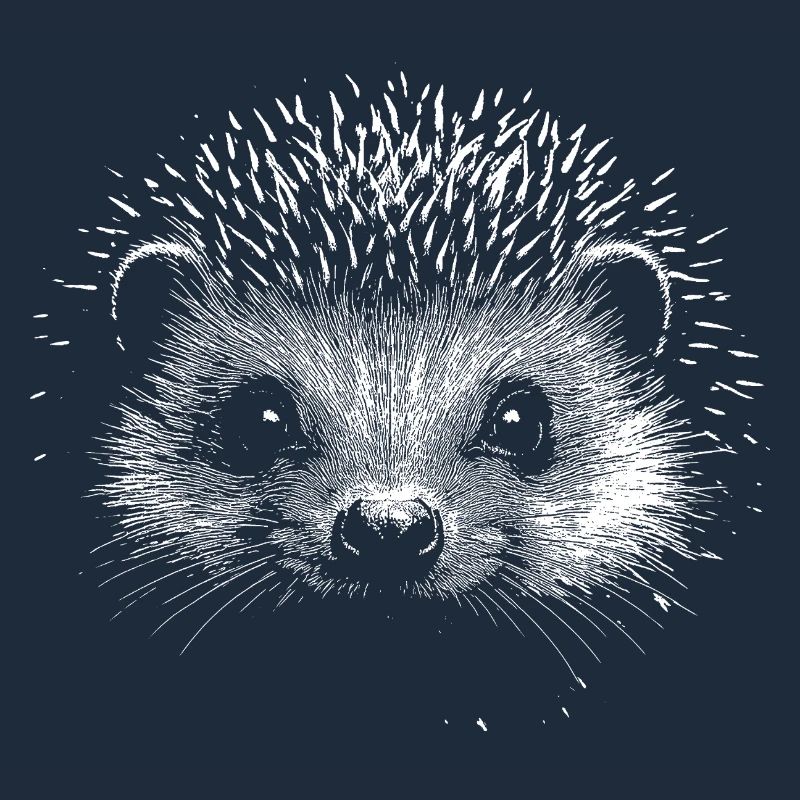 Hérisson