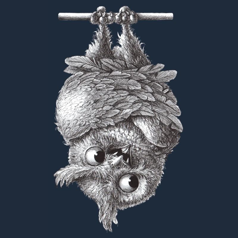 Vampire Owl - Dracula Owl