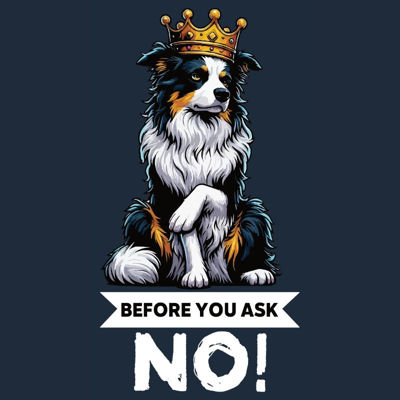 Before You Ask Australian Shepherd Aussie Aussies