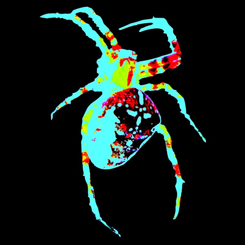Araignée aux couleurs néon