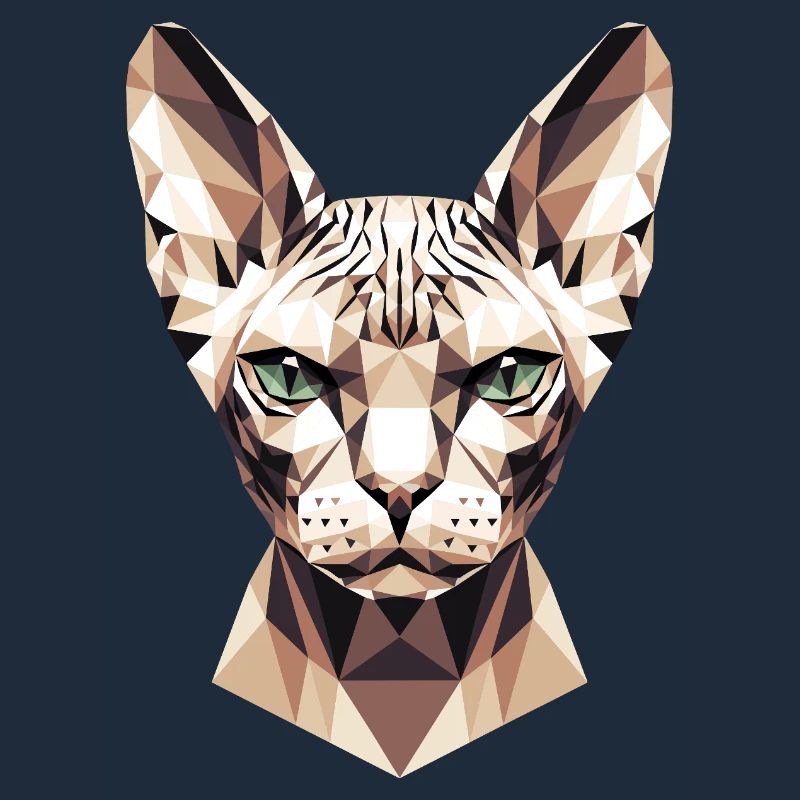 Sphynx Chat Sphynx Chat Chat Canadien Sphinx mignon