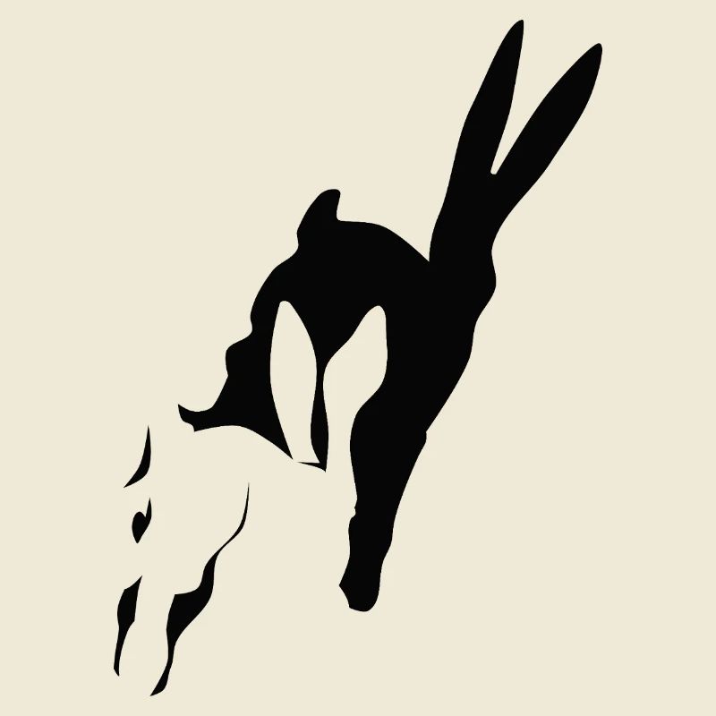 Bunny runs shadow bunny Easter bunny rabbit hop