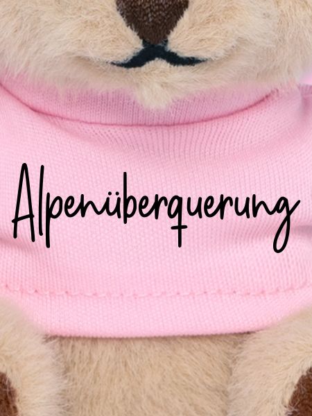 Alpenüberquerung