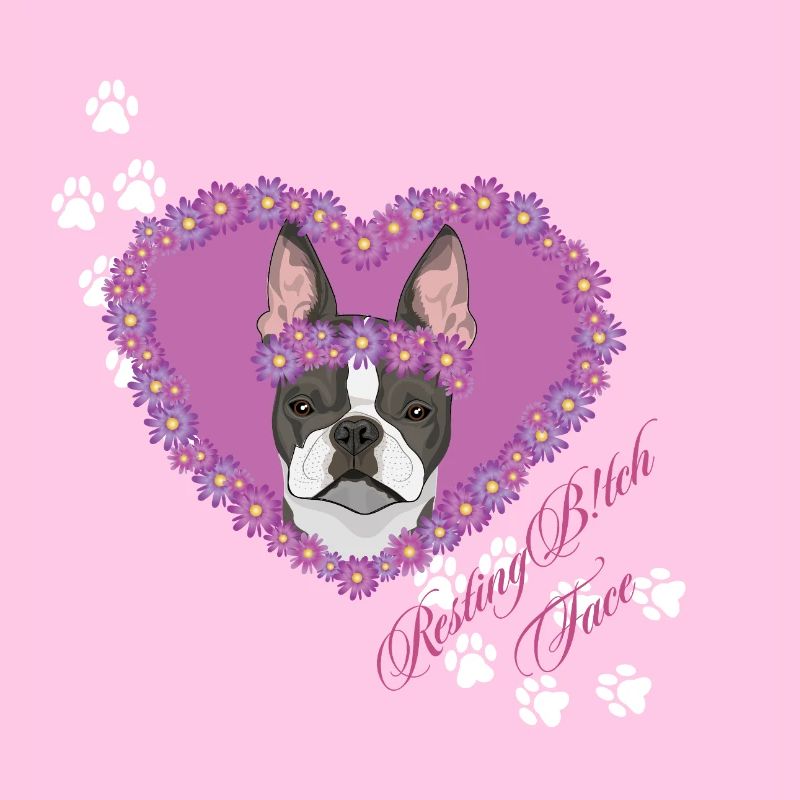 Ruhende B!tch Face Boston Terrier
