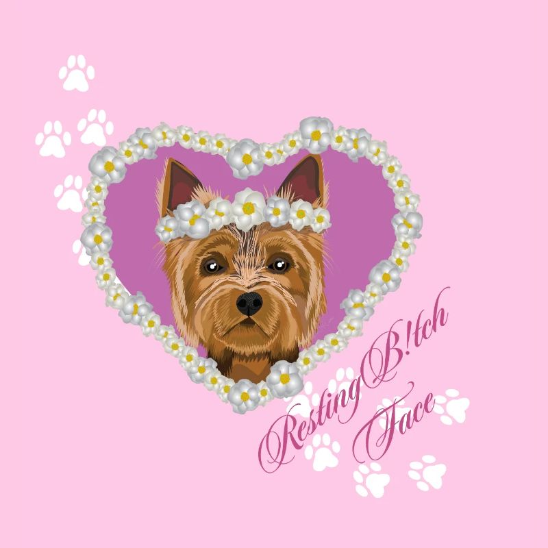 Ruhender Tch-Face Yorksire Terrier