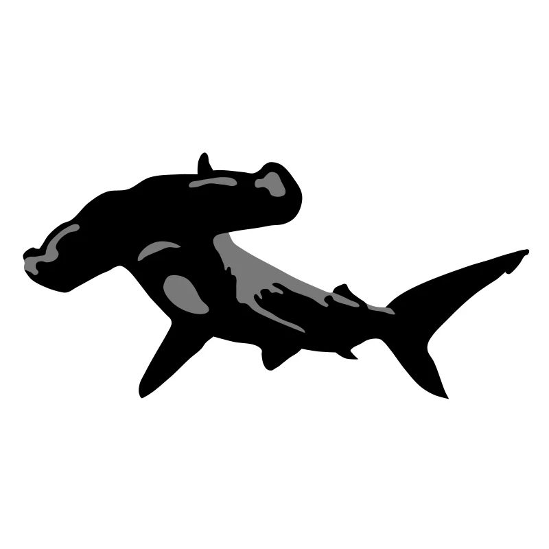 hammerhai