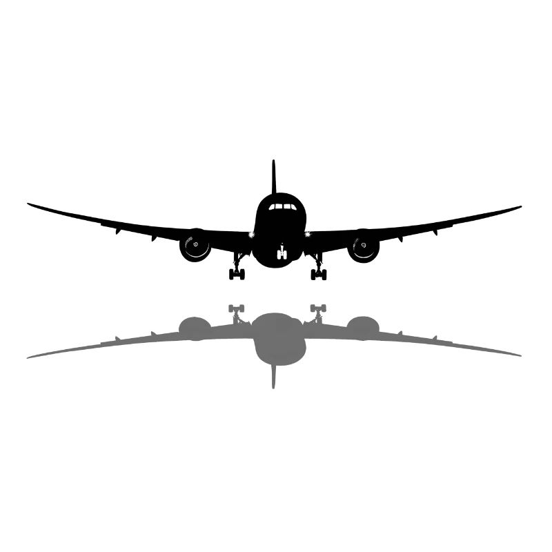 Passagierflugzeug