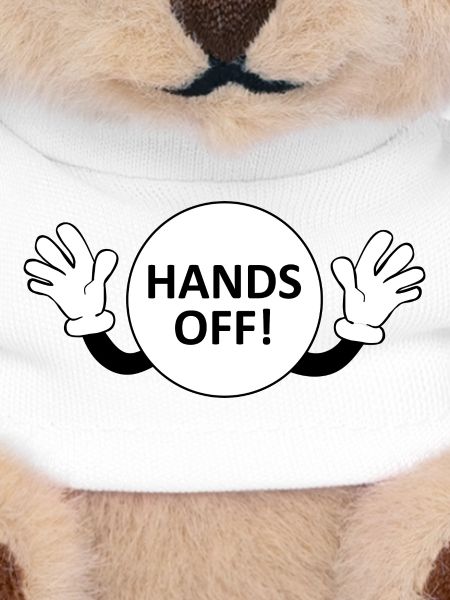 Hands Off / Don't Touch Warning