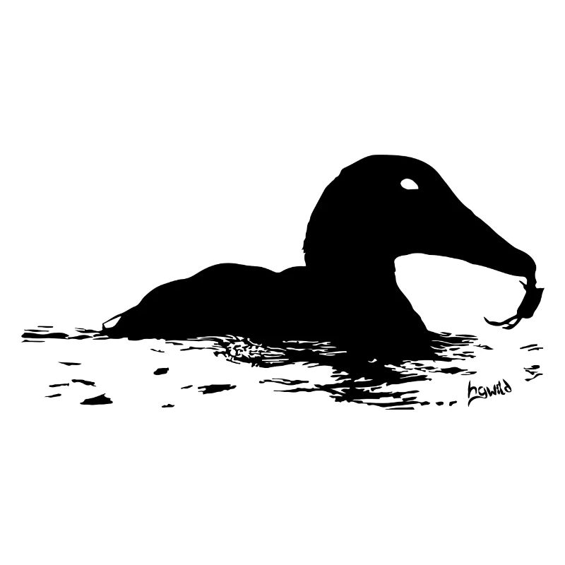 HGWild - Eider duck with crab
