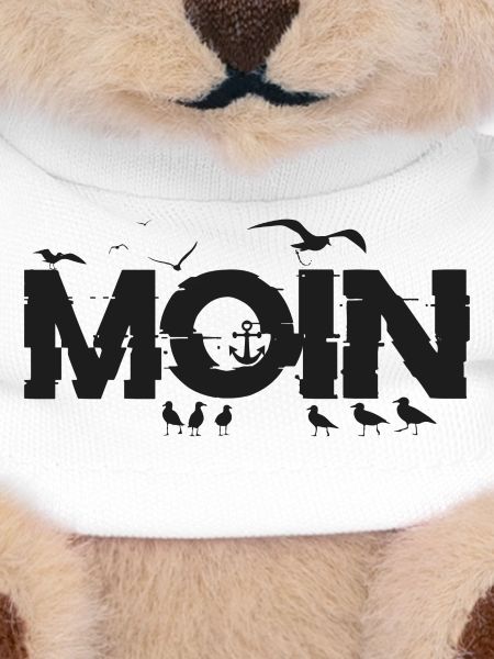 MOIN