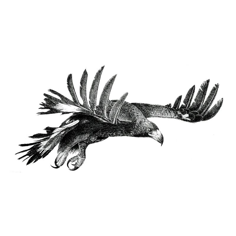 The Eagle