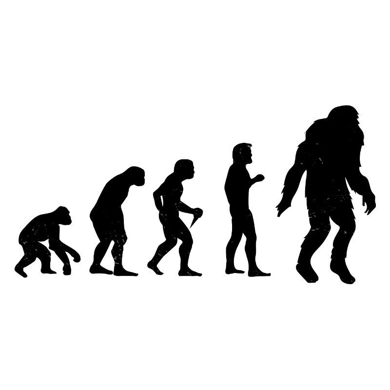 Bigfoot Sasquatch Cache-cache Dictons