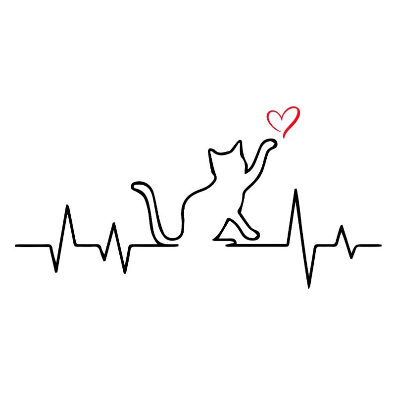 ECG Chat Battement de cœur