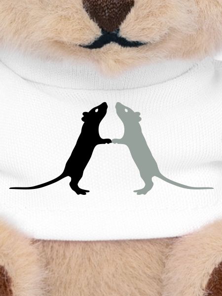 Rats