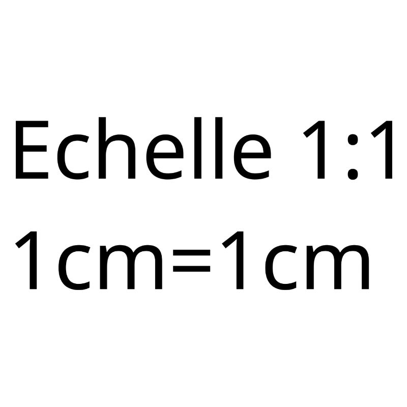 Architect, interior designer, project manager