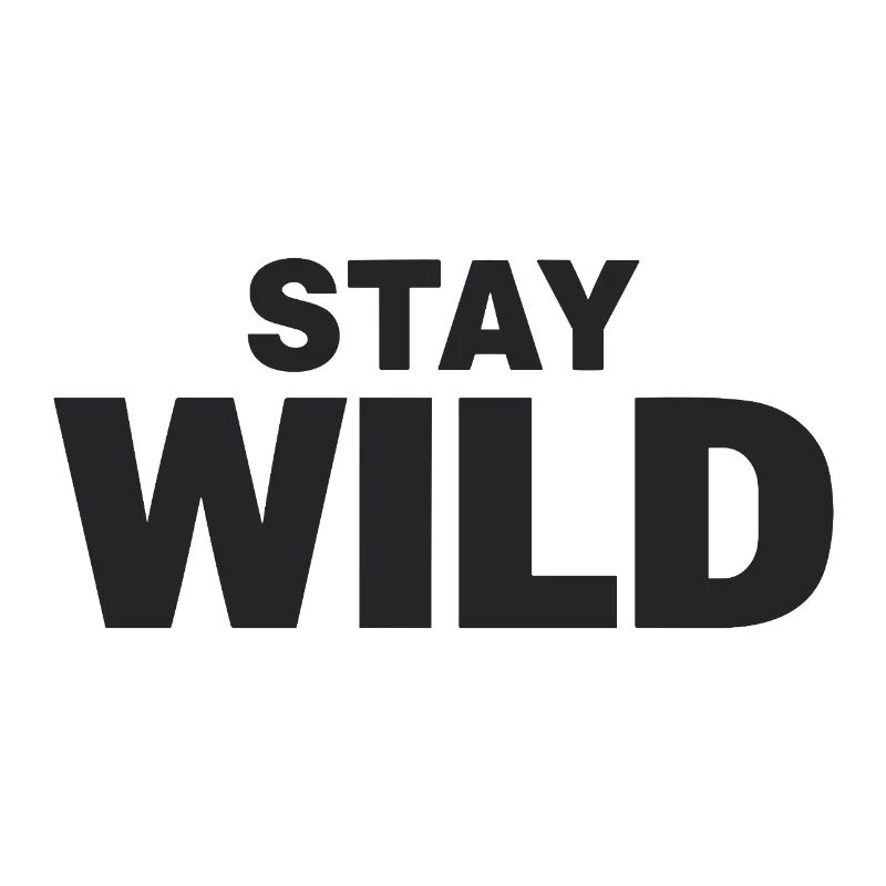 Déclaration de liberté d’aventure STAY WILD