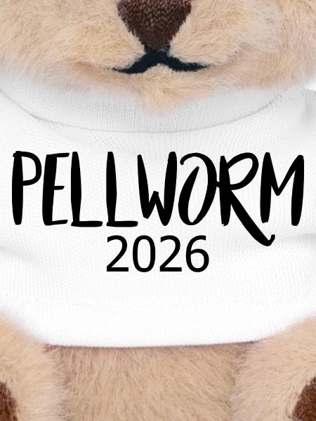 Pellworm_2026