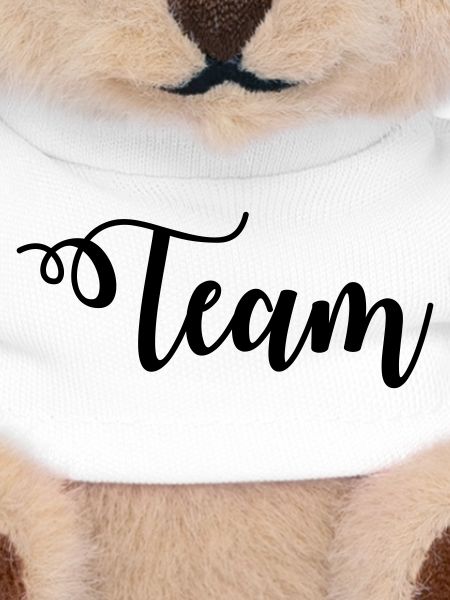 Team