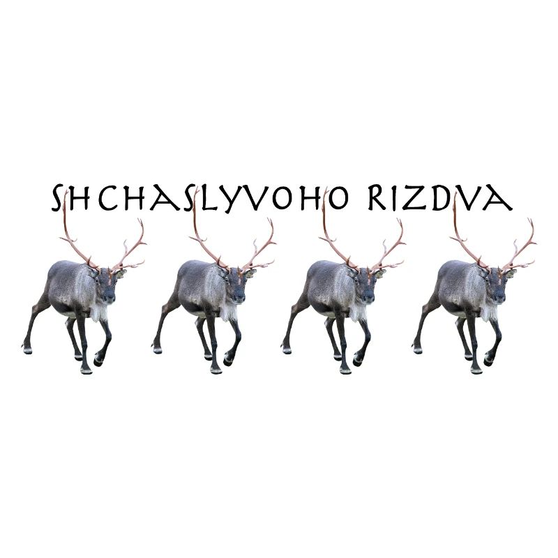 Shchaslyvoho Rizdva