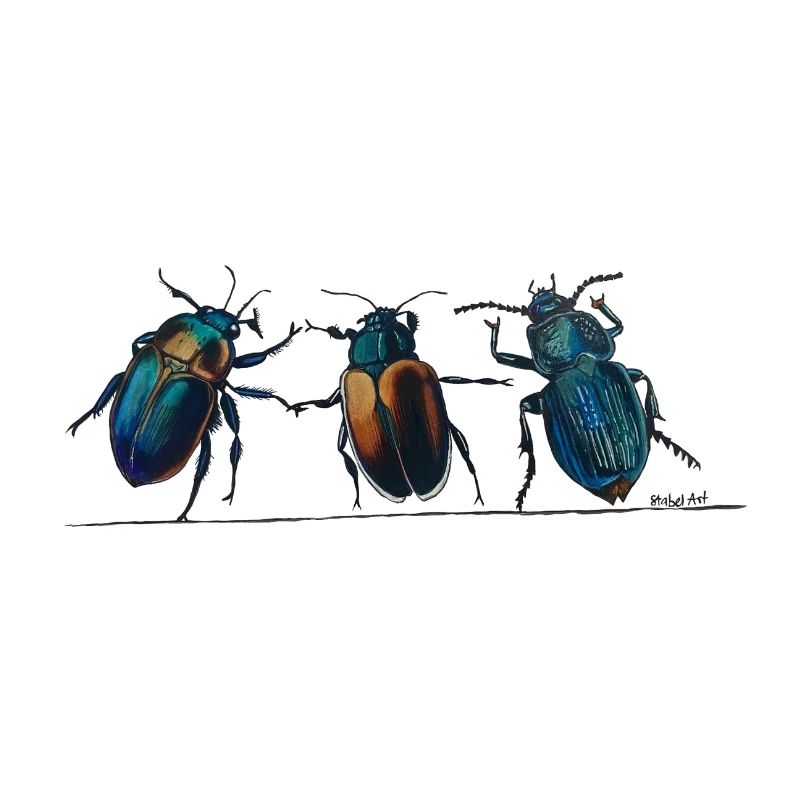 3Coléoptères