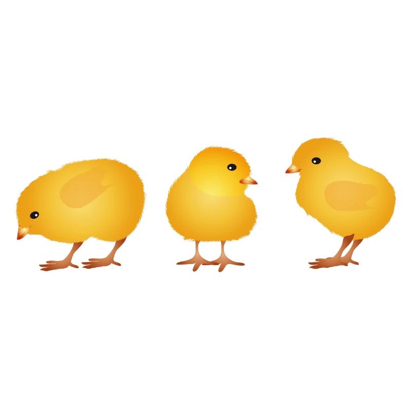 Chick – Cute Spring and Easter Motif
