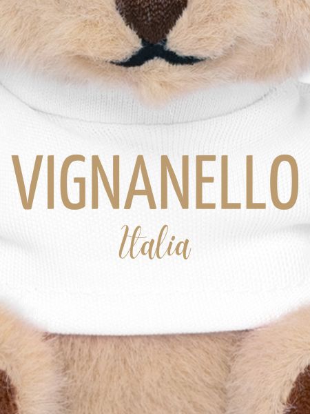 Vignanello Italia
