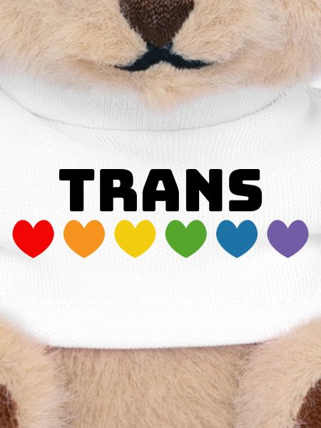Rainbow heart trans black