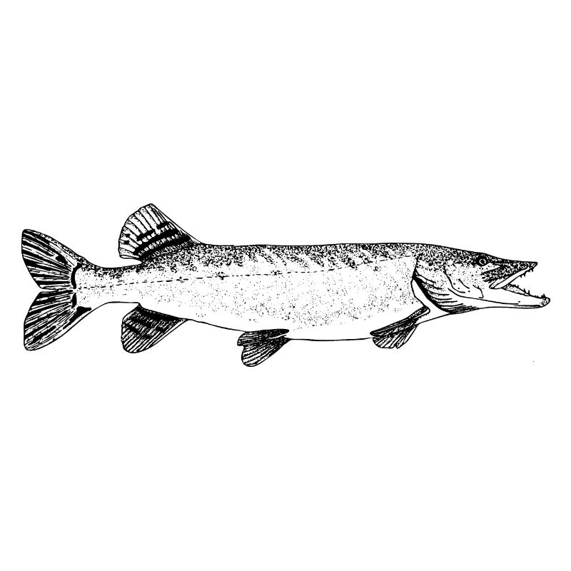 Pike Pike Motif