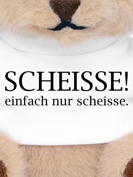 Scheisse! einfach nur scheisse.
