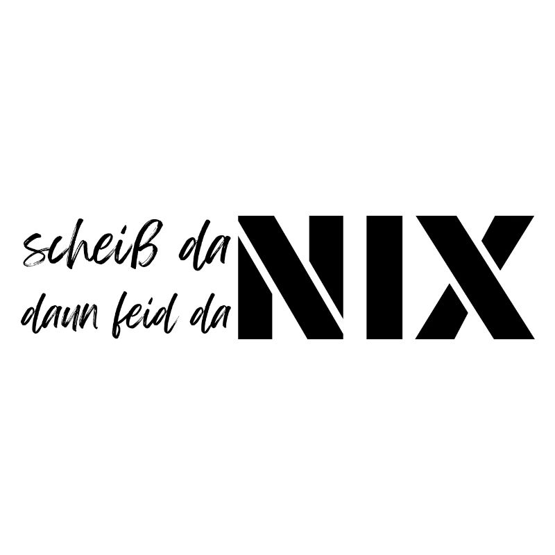 scheiß da nix daun feid da nix, dialect motto